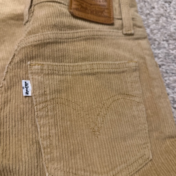 Corduroy - Picture 3 of 3